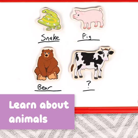 Spark & Wow Wooden Animals Magnet Set